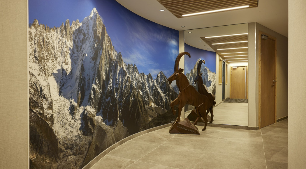 BLANC mont Blanc - chamonix - imotis